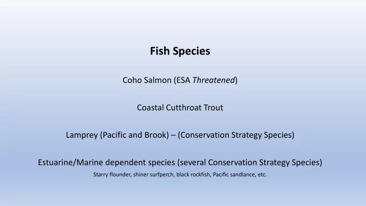 fish species