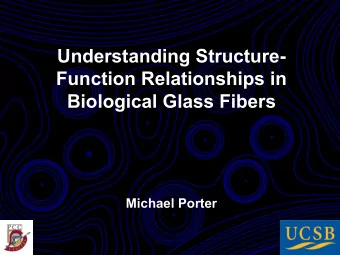 Understanding Structure-  Function Relationships in  Biological Glass Fibers  Michael Porter