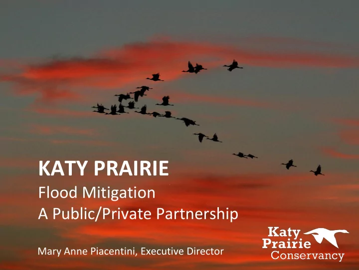 katy prairie