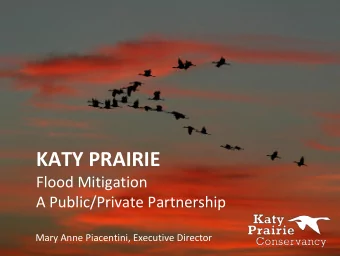 KATY PRAIRIE  Flood Mitigation  A Public/Private Partnership  Mary Anne Piacentini, Executive