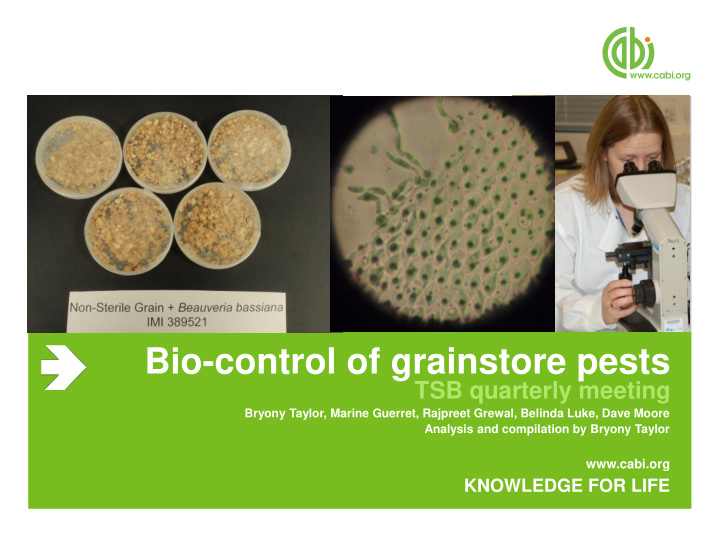 bio control of grainstore pests