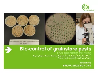Bio-control of grainstore pests TSB quarterly meeting  Bryony Taylor, Marine Guerret, Rajpreet