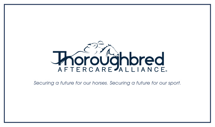 securing a future for our horses securing a future for