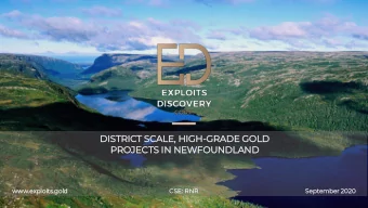 DIS  ISTRICT SCALE, HIG  IGH-GRADE GOLD  PROJECTS IN NEWFOUNDLAND  www.e  .explo  loits  ts.g