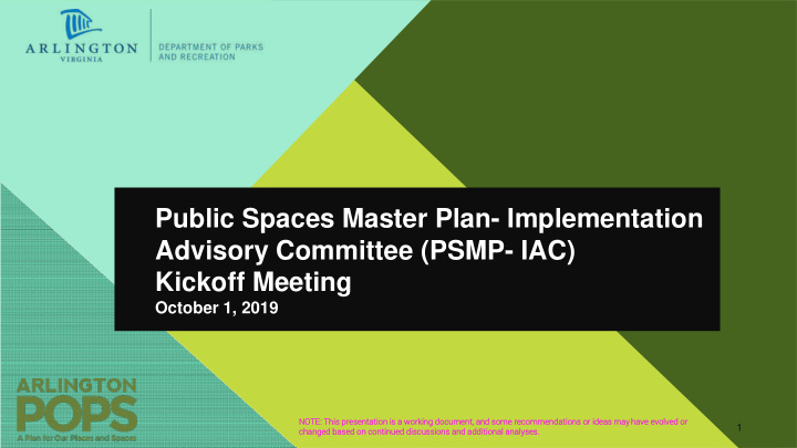 public spaces master plan implementation advisory