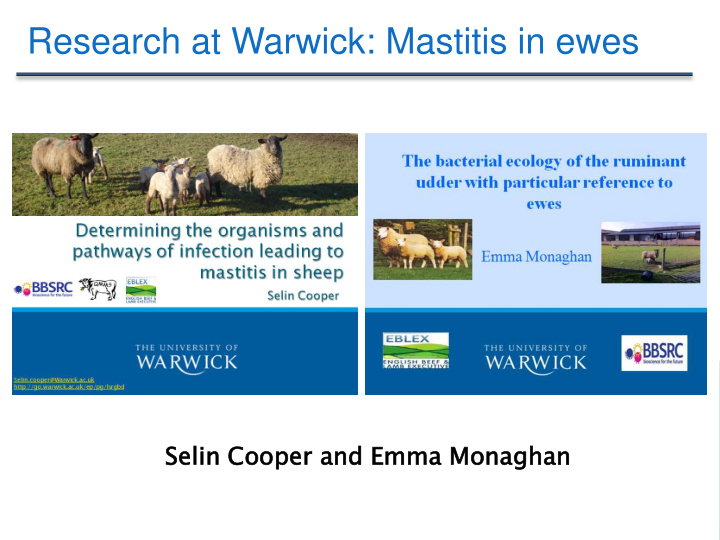 research at warwick mastitis in ewes