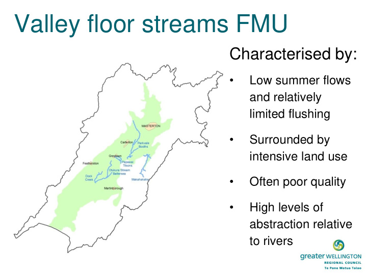 valley floor streams fmu