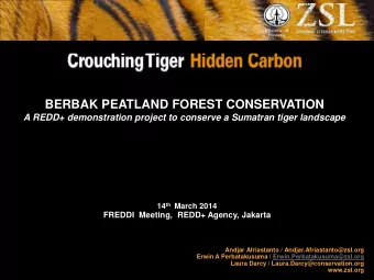BERBAK PEATLAND FOREST CONSERVATION  A REDD+ demonstration project to conserve a Sumatran tiger