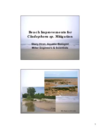 Cladophor a sp. Mitigation  Stacy Hron, Aquatic Biologist  Miller Engineers &amp; Scientists