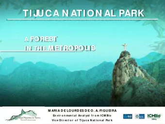 TI JUCA N ATI ON AL PARK A FOREST A FOREST I N  TH E M ETROPOLI S I N  TH E M ETROPOLI S  M ARI A D