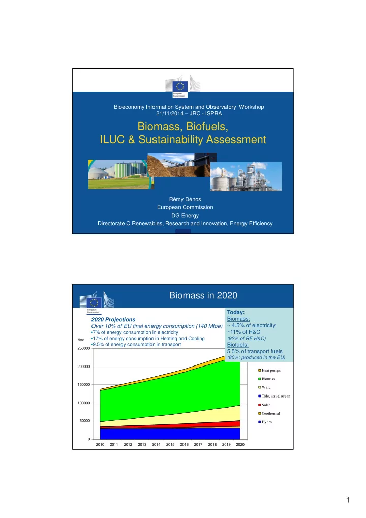 biomass biofuels iluc sustainability assessment