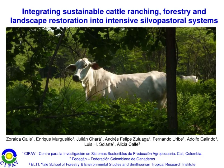 integrating sustainable cattle ranching forestry and