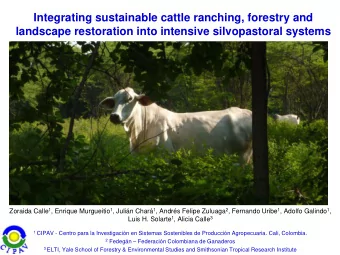 Integrating sustainable cattle ranching, forestry and  landscape restoration into intensive