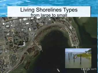 Living Shorelines Types  from large to small  Downsizing a Living Shoreline;  Retail-scale Options