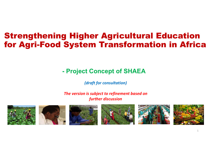strengthening higher agricultural education for agri food