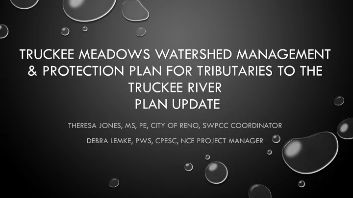 truckee meadows watershed management protection plan for