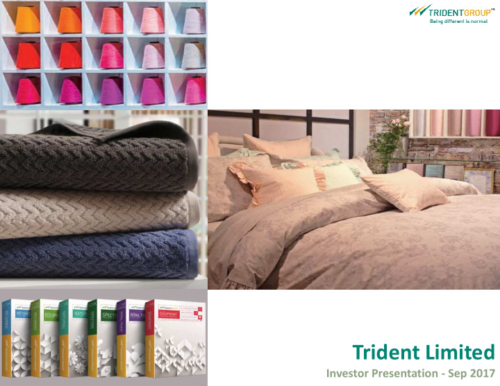 trident limited