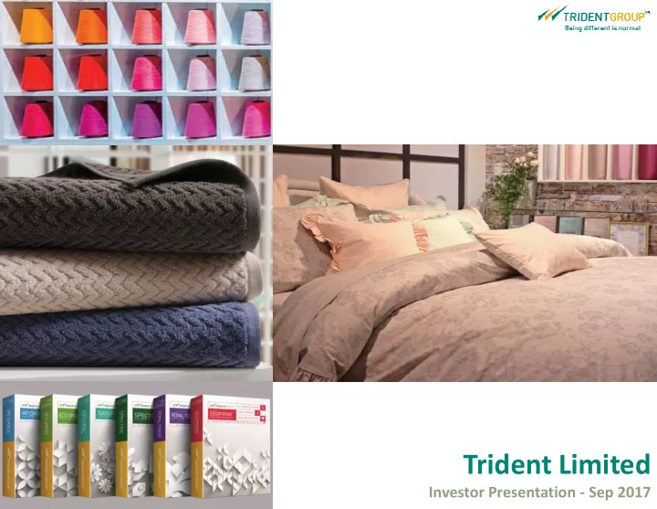 trident limited