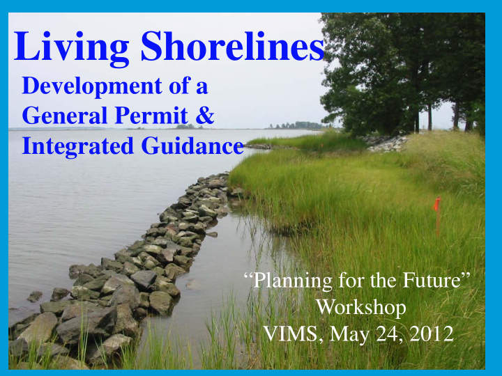 living shorelines