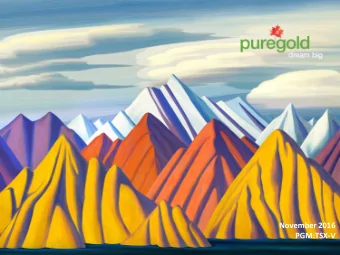 November 2016  PGM:TSX-V  FORWARD LOOKING STATEMENT  Cautionary Statement on Forward-Looking