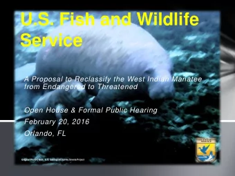 U.S. Fish and Wildlife  Service  A Proposal to Reclassify the West Indian Manatee  from Endangered