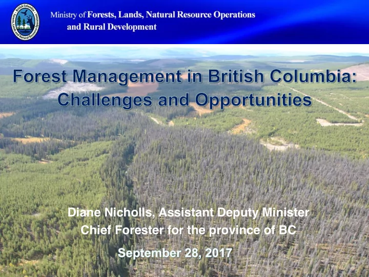 diane nicholls assistant deputy minister