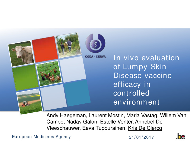 in vivo evaluation of lumpy skin disease vaccine efficacy