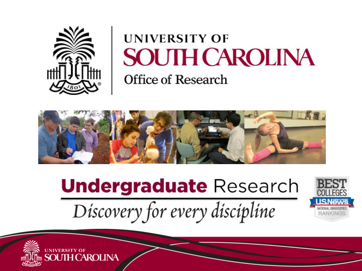 undergraduate research