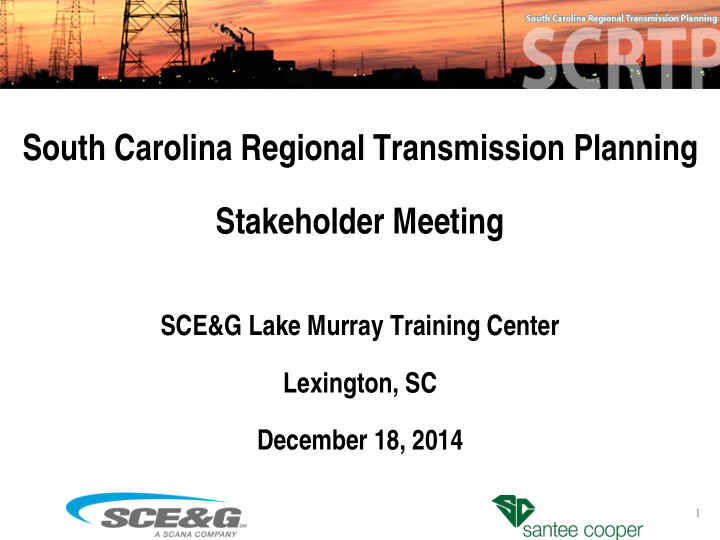 south carolina regional transmission planning stakeholder