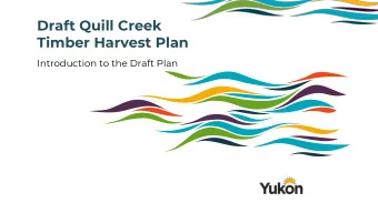 Timber Harvest Plan  Introduction to the Draft Plan  Champagne and Aishihik First Nations Final
