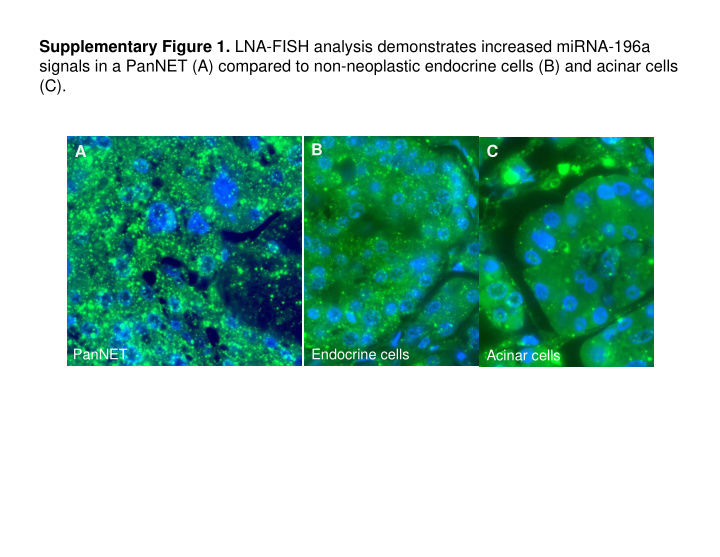 supplementary figure 1 lna fish analysis demonstrates