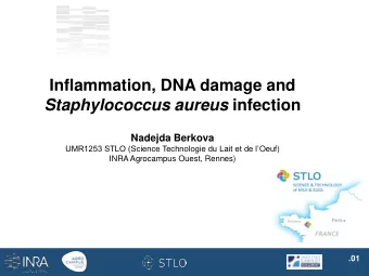 Staphylococcus aureus infection  Nadejda Berkova UMR1253 STLO (Science Technologie du Lait et de
