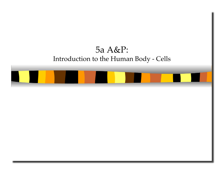 5a a p introduction to the human body cells 5a a p