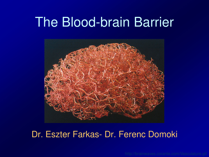 the blood brain barrier