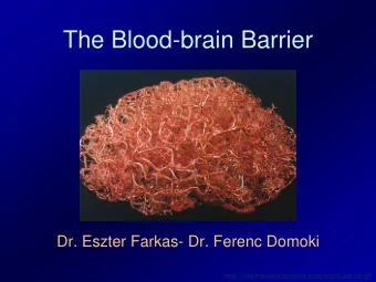 The Blood-brain Barrier  Dr. Eszter Farkas- Dr. Ferenc Domoki