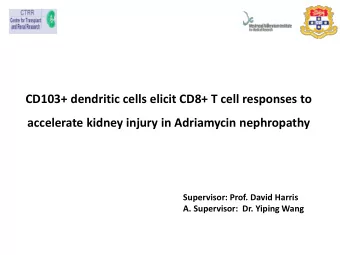 CD103+ dendritic cells elicit CD8+ T cell responses to  accelerate kidney injury in Adriamycin