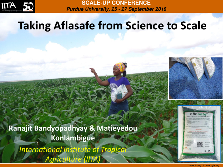 taking aflasafe from science to scale