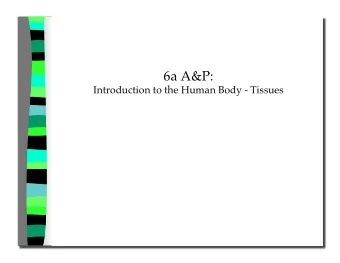 6a A&amp;P: Introduction to the Human Body - Tissues 6a A&amp;P: Introduction to the Human Body -