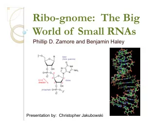 Ribo-gnome:  The Big  World of  Small RNAs  Phillip D. Zamore and Benjamin Haley  Presentation by: