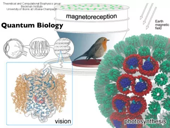Quantum Biology  Where does QM come into play?  Biology has a knack for using what works.  And if