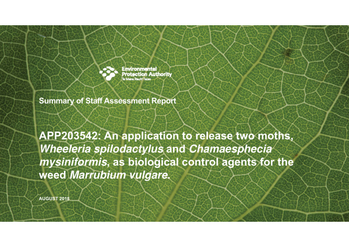 app203542 an application to release two moths wheeleria