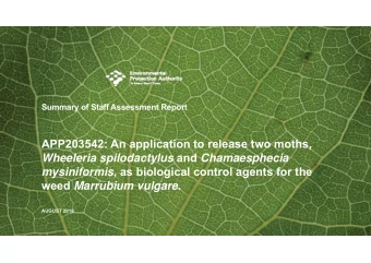 APP203542: An application to release two moths, Wheeleria spilodactylus and Chamaesphecia