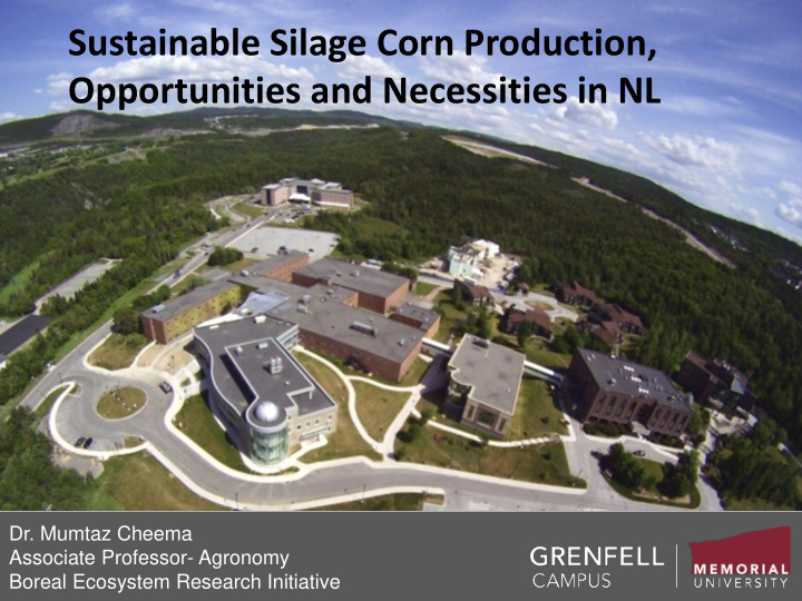 sustainable silage corn production