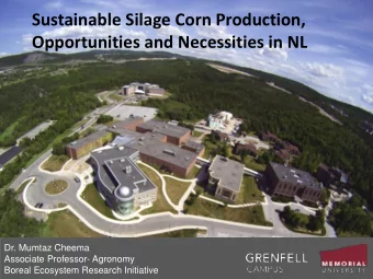 Sustainable Silage Corn Production,  , Memorial University  Opportunities and Necessities in NL