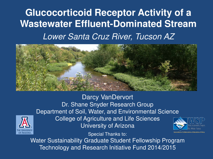 glucocorticoid receptor activity of a wastewater effluent