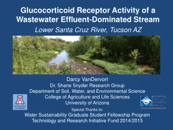 Glucocorticoid Receptor Activity of a  Wastewater Effluent-Dominated Stream  Lower Santa Cruz