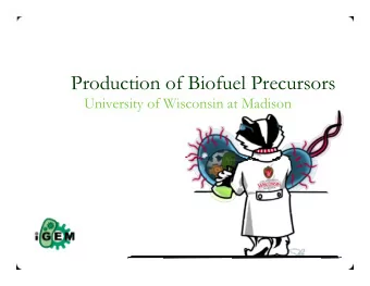 Production of Biofuel Precursors  University of Wisconsin at Madison  Energy supply is a BIG