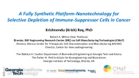 a fully synthetic platform nanotechnology for