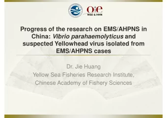 Progress of the research on EMS/AHPNS in China: Vibrio parahaemolyticus and  suspected Yellowhead