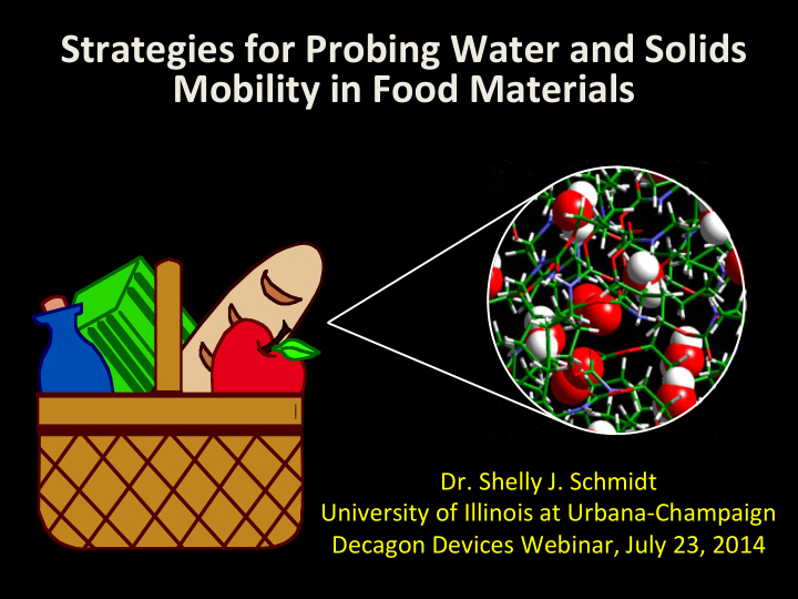 strategies for probing water and solids mobility in food